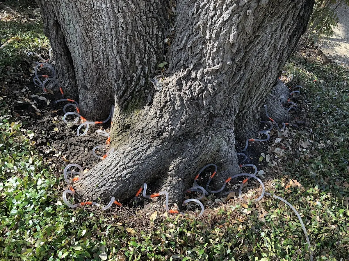 Detailed Shrub and Hedge Trimming job site in Channing